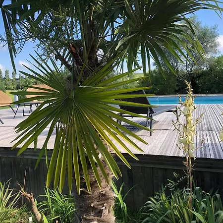 Logement Domaine En Castanet
